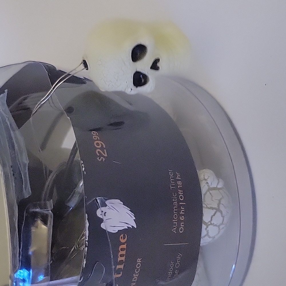 Halloween home decor string lights